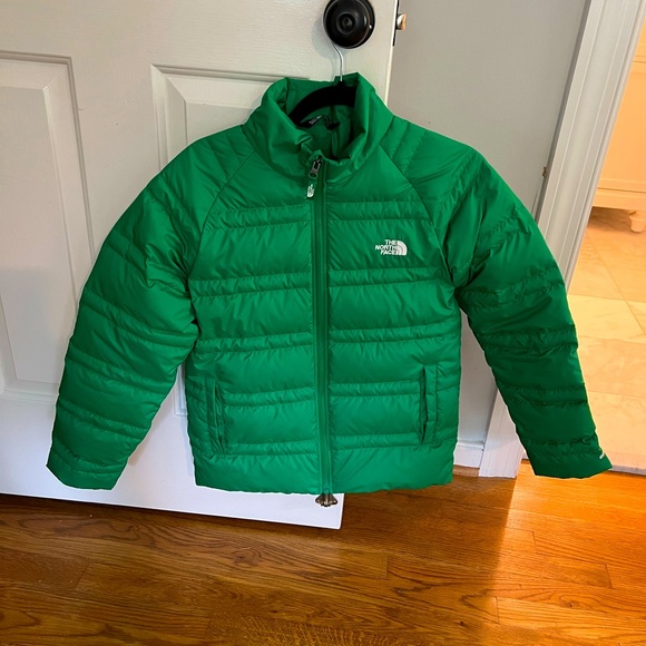 The North Face Other - The North Face (kids size 14-16) winter coat in perfect condition